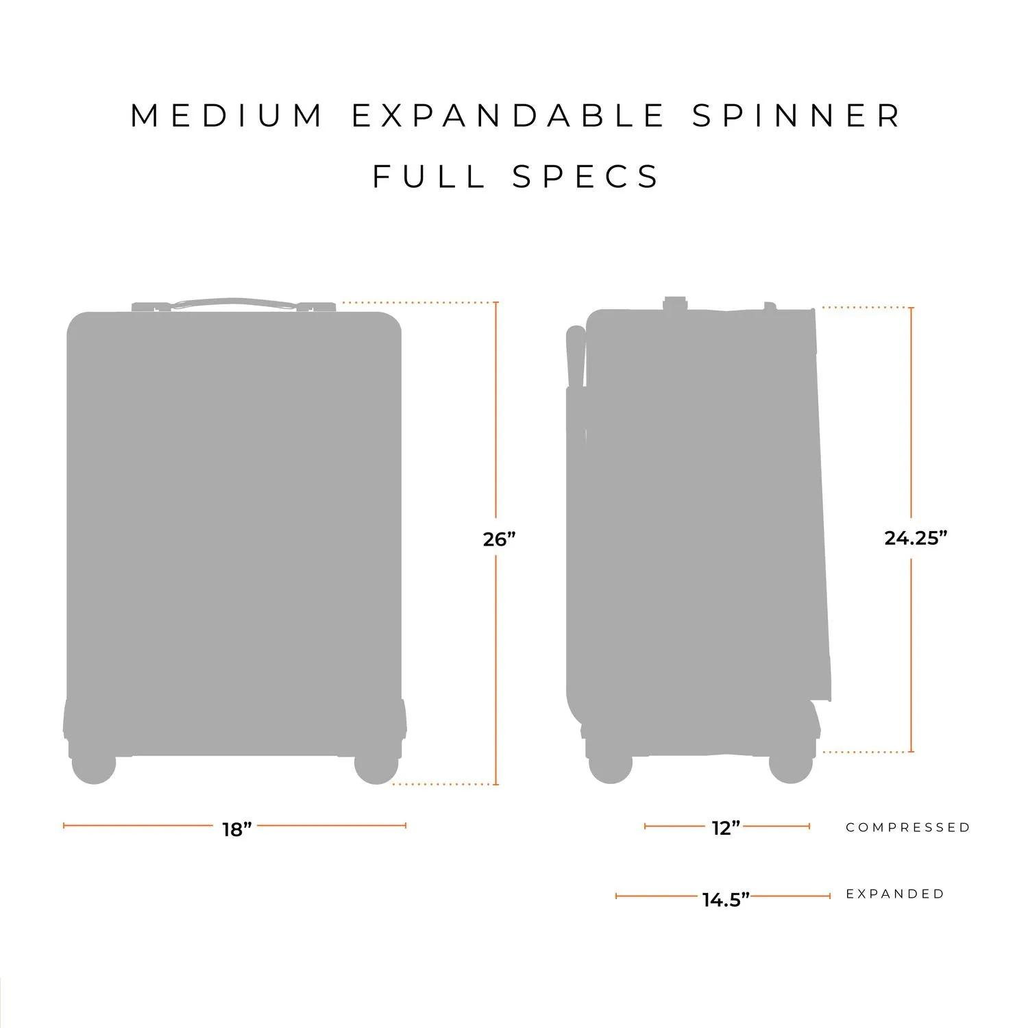 Briggs & Riley BASELINE LIMITED EDITION Medium Expandable Spinner